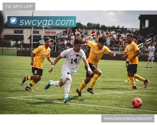 Kaiyun开云在线地址官方入口，提供稳定高清的体育直播服务体验