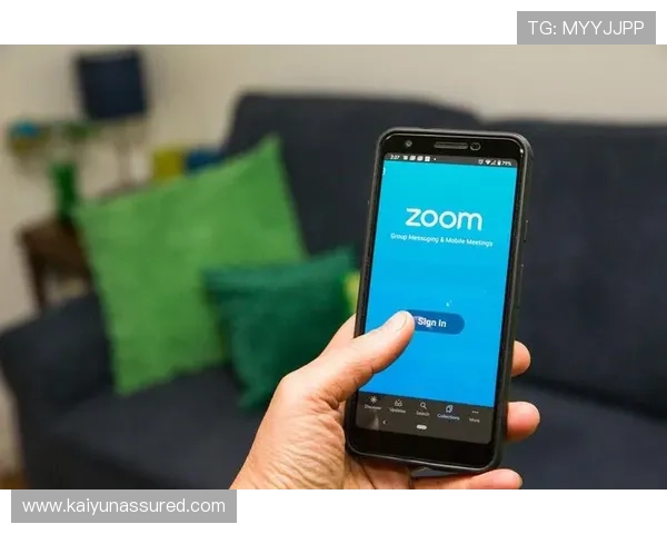 开云体育官方登录入口：官方登录入口的安全验证流程及用户隐私保护措施