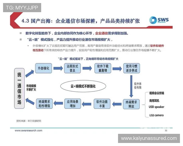 开云公司在全球市场的扩展策略及其对网络游戏行业国际化发展的促进作用