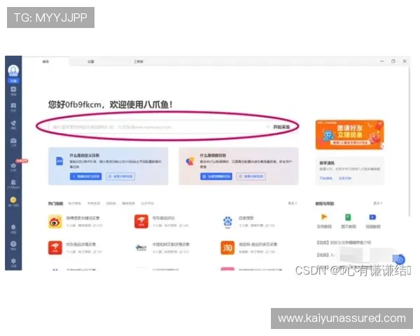 开云网页版在线登录app详细操作指南，帮助新手快速上手使用流程